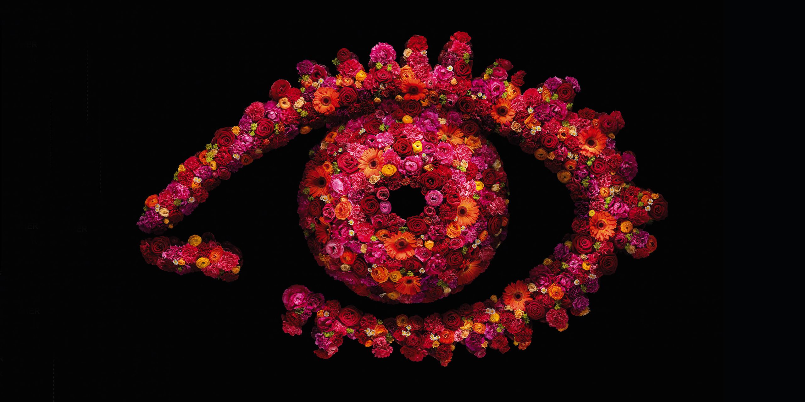 BigBrother-image1
